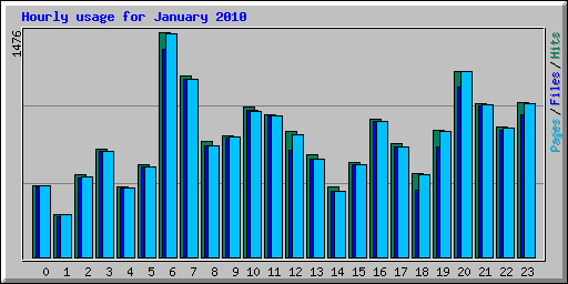 Hourly usage for January 2010